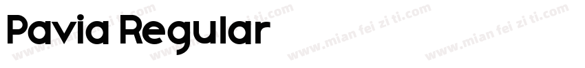 Pavia Regular 语言英文字体转换